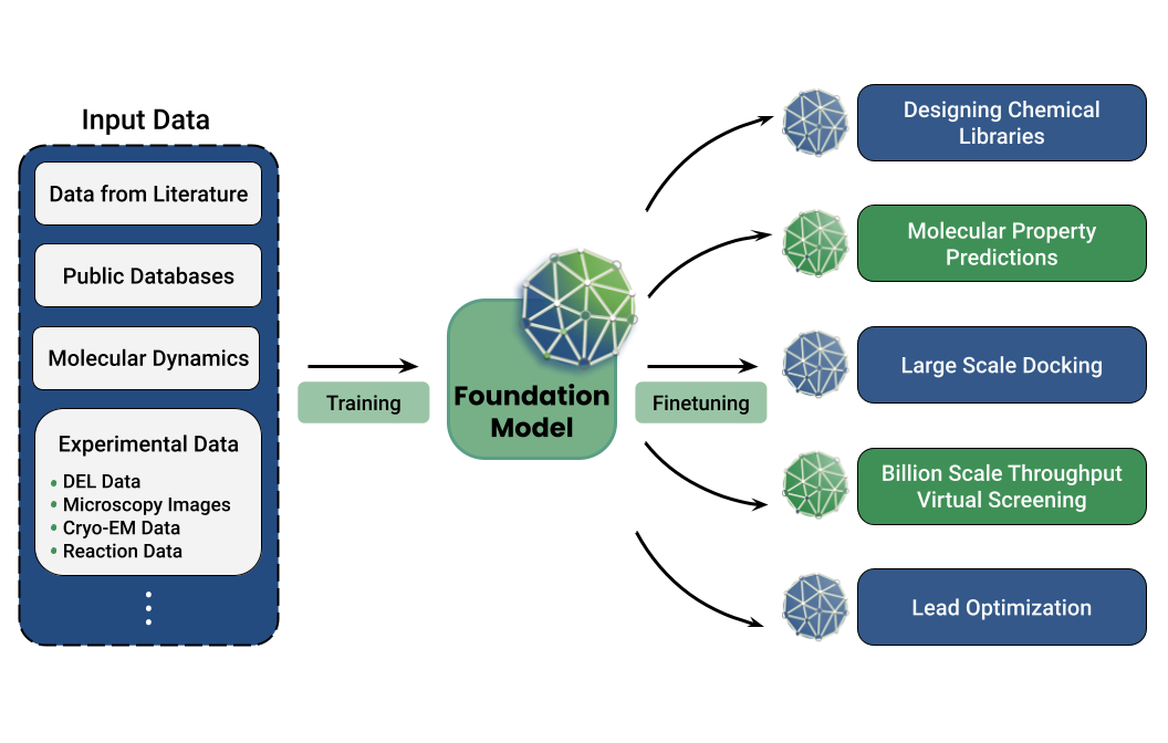 Foundation Model