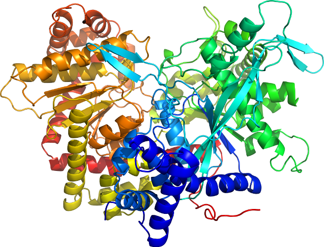 Ligand Docking